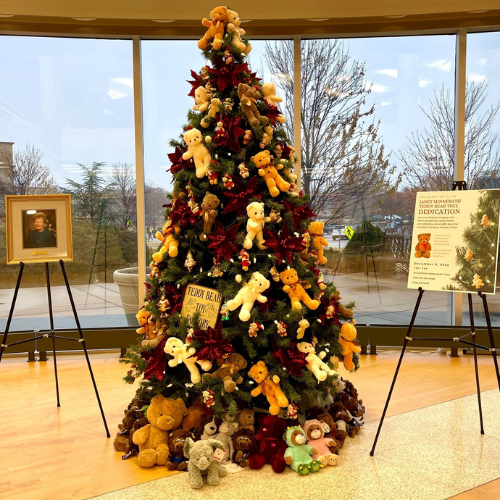 A photo of the Janet Minnerath Teddy Bear Tree at OU-Tulsa's Schusterman Library